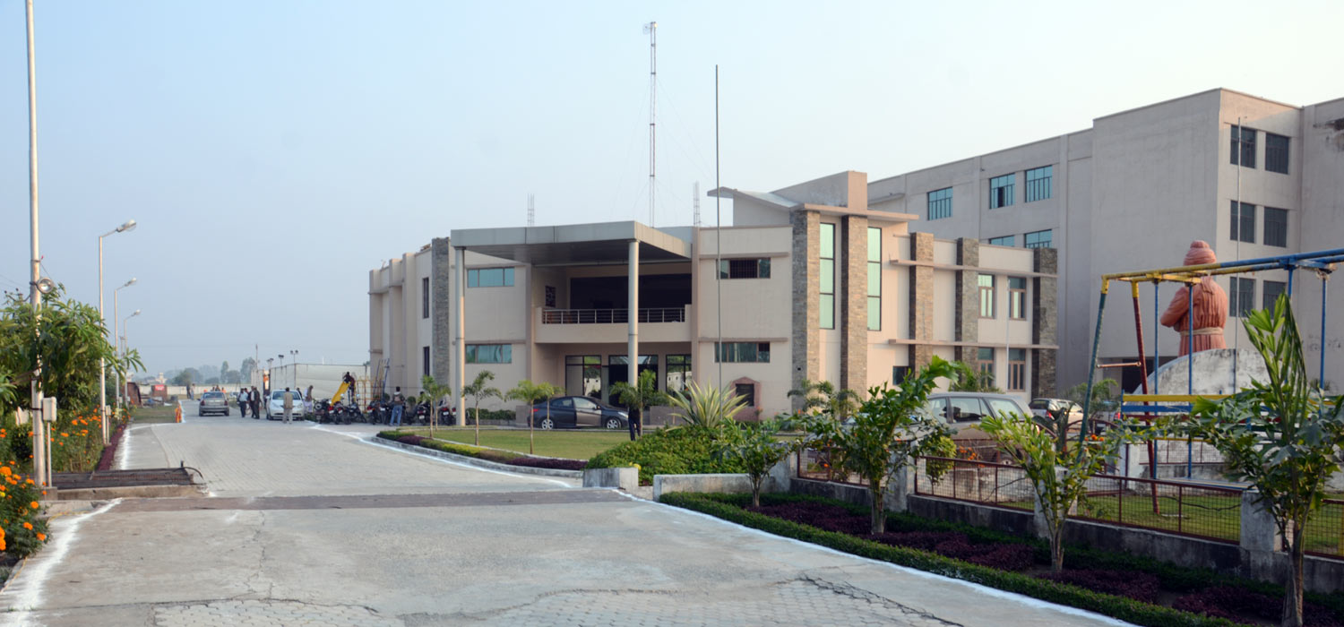 Senior Secondary (Class XII)